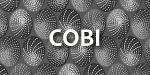 Custom coloring of the Desaudio Cobi pattern