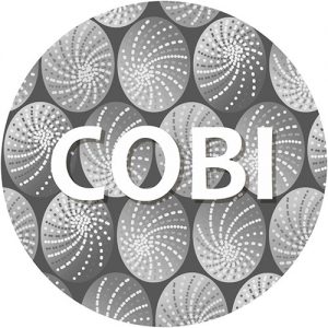 Desaudio Cobi design