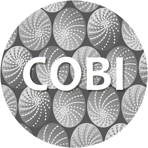 Desaudio Cobi design