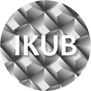 Desaudio Ikub design