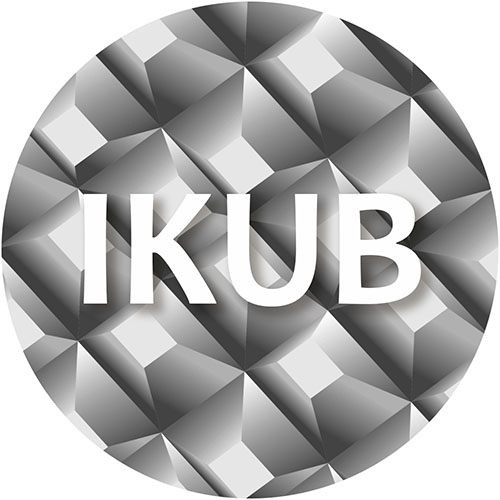Desaudio Ikub design