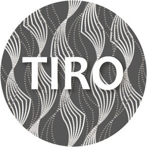 Desaudio Tiro design