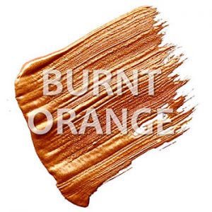 Desaudio burnt orange color trend