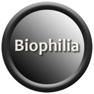 Desaudio biophilia home decoration trend