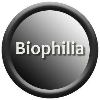Desaudio biophilia home decoration trend