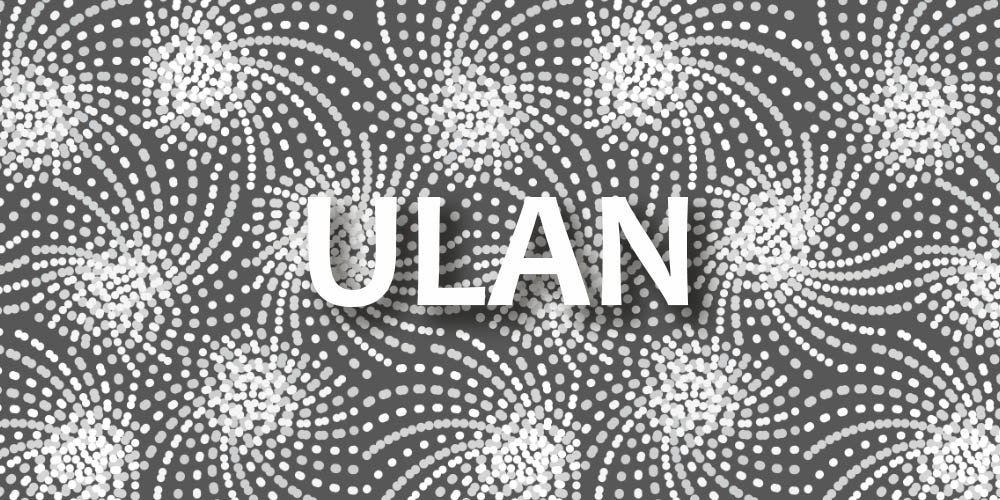 Custom coloring of the Desaudio Ulan pattern