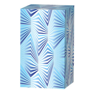 Desaudio Vigo blue 2 special design