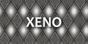 Custom coloring of the Desaudio Xeno pattern.